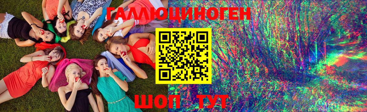 Псилоцибиновые грибы Psilocybine cubensis  Вход с VPN  Выкса  Псилоцибиновые грибы Psilocybine cubensis 
