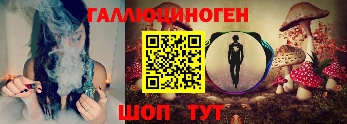 Псилоцибиновые грибы Psilocybine cubensis Выкса